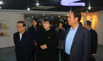 中国计生协党组书记、常务副会长王培安调研重庆市渝中区青春健康工作