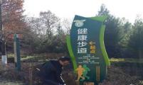 陕西省宝鸡市渭滨区：人民公园喜添健康元素