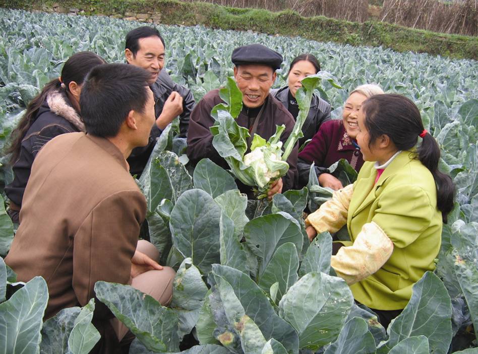 图片10.jpg