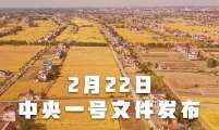 重磅！2022年中央一号文件发布